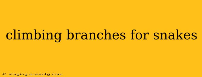 climbing branches for snakes