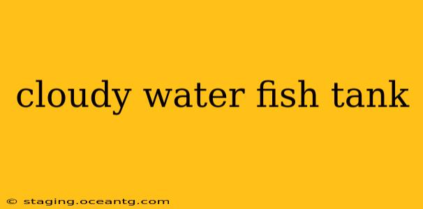 cloudy water fish tank