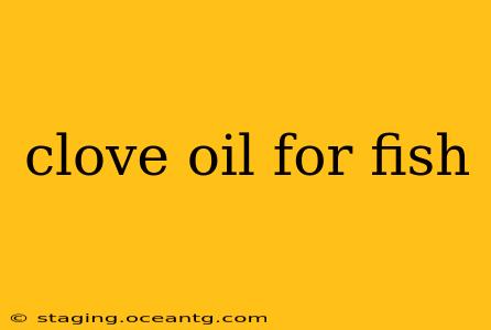 clove oil for fish