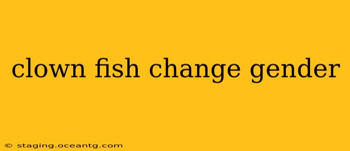 clown fish change gender