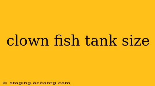 clown fish tank size