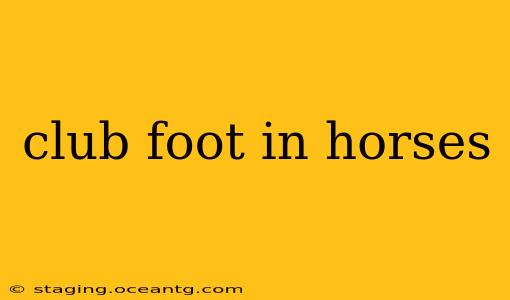 club foot in horses