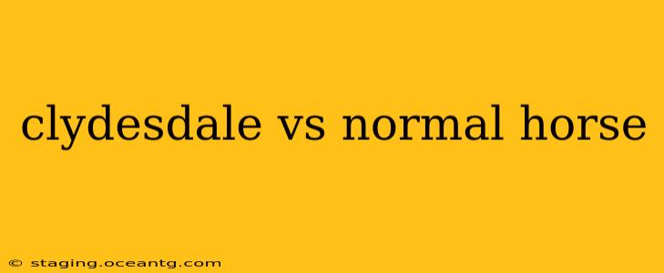 clydesdale vs normal horse