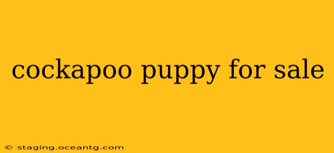 cockapoo puppy for sale