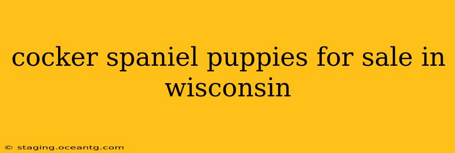 cocker spaniel puppies for sale in wisconsin