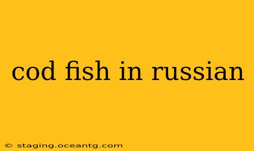 cod fish in russian