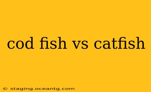cod fish vs catfish