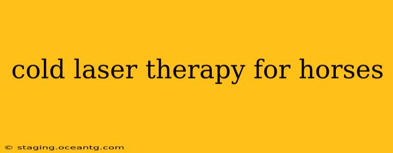 cold laser therapy for horses