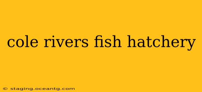 cole rivers fish hatchery
