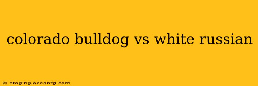 colorado bulldog vs white russian