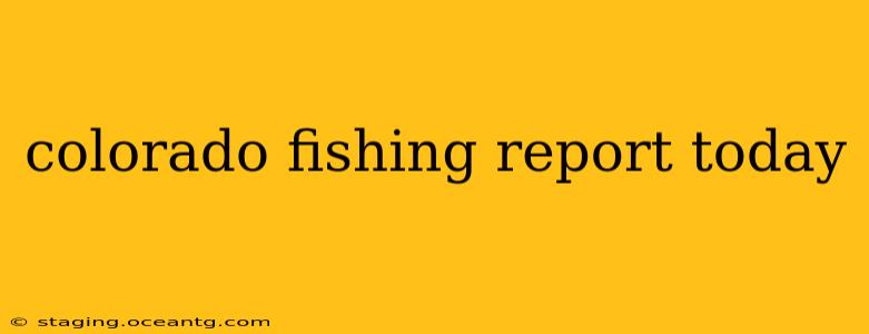 colorado fishing report today