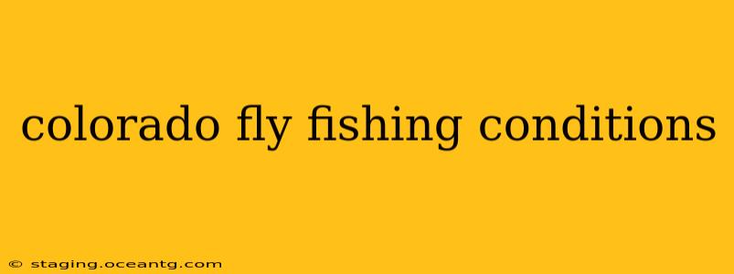 colorado fly fishing conditions