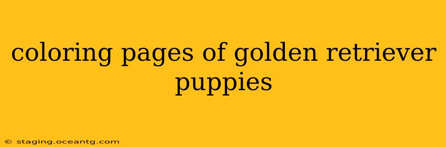 coloring pages of golden retriever puppies