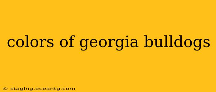 colors of georgia bulldogs