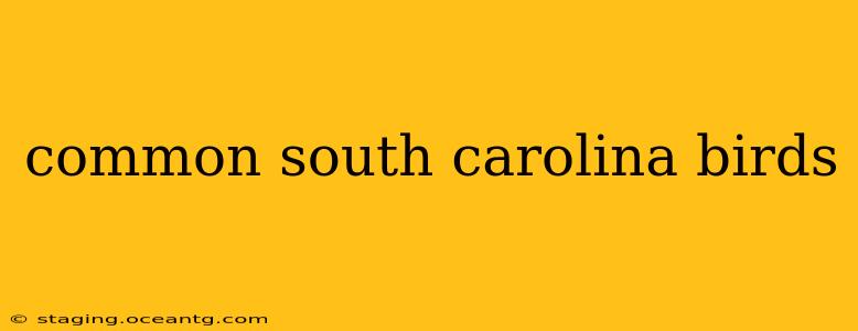 common south carolina birds