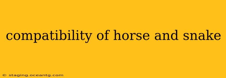 compatibility of horse and snake