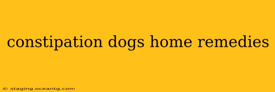 constipation dogs home remedies