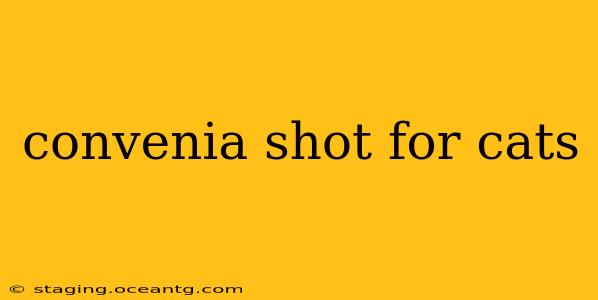 convenia shot for cats