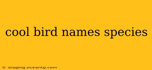 cool bird names species