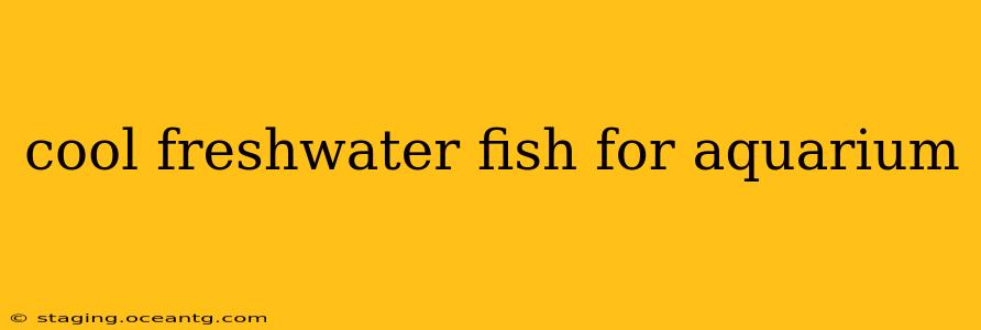 cool freshwater fish for aquarium