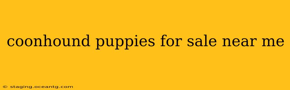 coonhound puppies for sale near me
