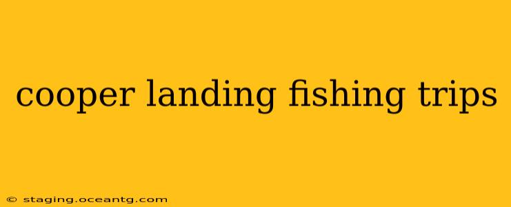 cooper landing fishing trips