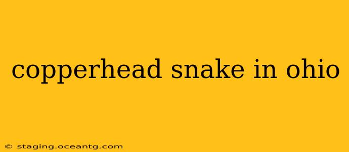 copperhead snake in ohio