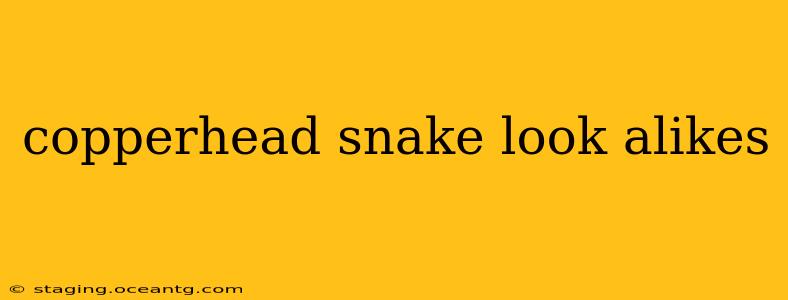 copperhead snake look alikes