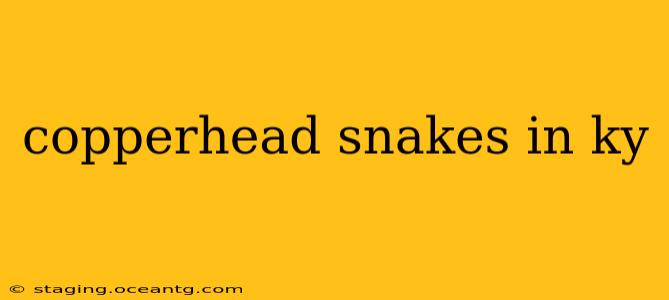 copperhead snakes in ky