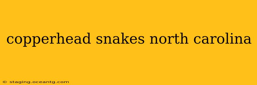 copperhead snakes north carolina