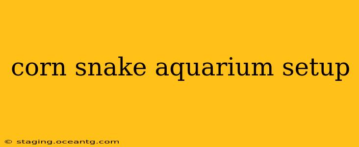corn snake aquarium setup