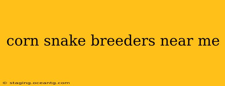 corn snake breeders near me