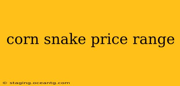 corn snake price range