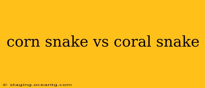 corn snake vs coral snake