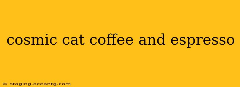 cosmic cat coffee and espresso
