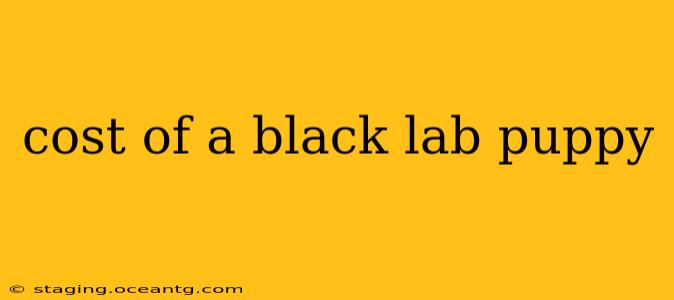 cost of a black lab puppy