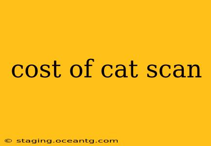 cost of cat scan