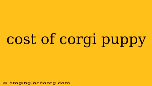 cost of corgi puppy