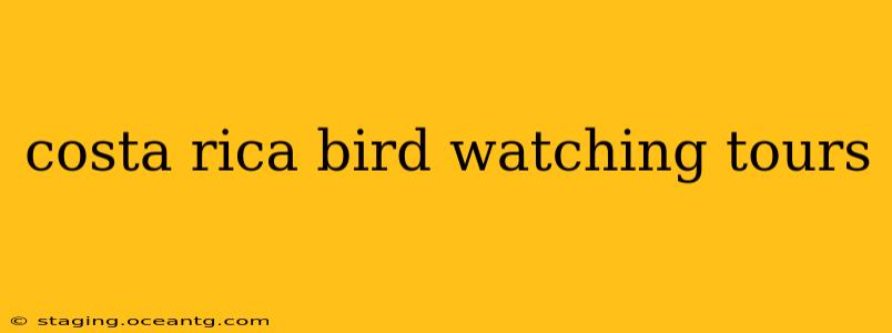 costa rica bird watching tours