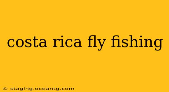 costa rica fly fishing