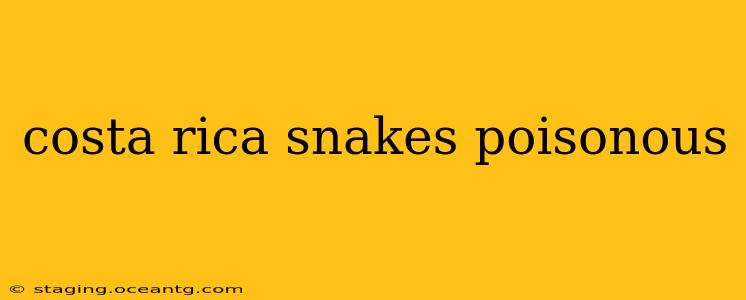 costa rica snakes poisonous