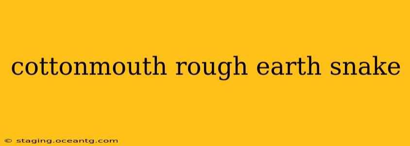 cottonmouth rough earth snake
