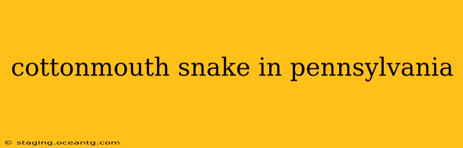 cottonmouth snake in pennsylvania
