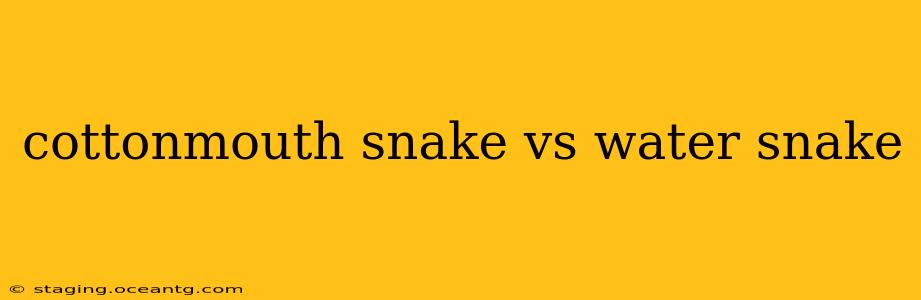 cottonmouth snake vs water snake