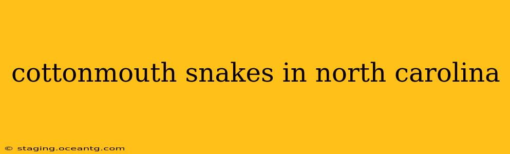 cottonmouth snakes in north carolina