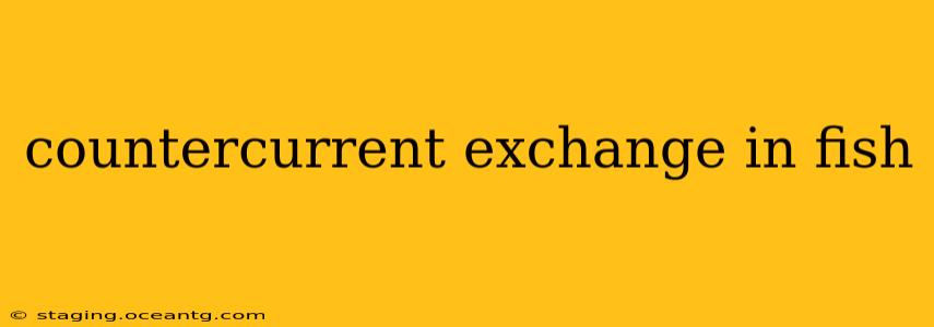 countercurrent exchange in fish