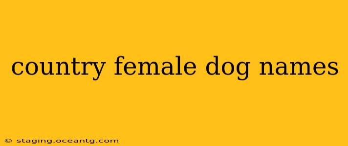 country female dog names