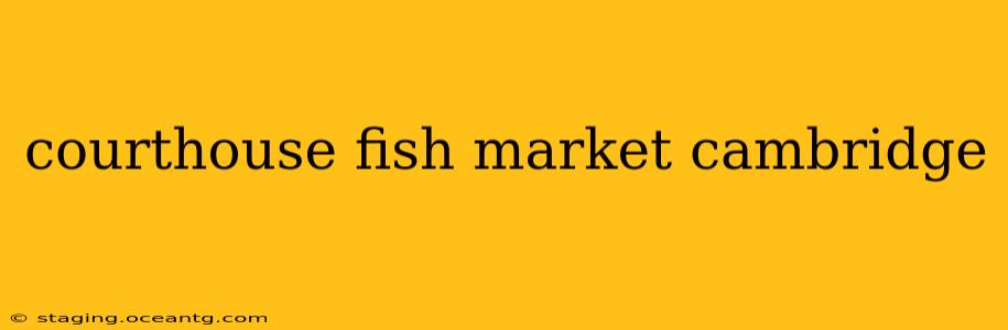 courthouse fish market cambridge