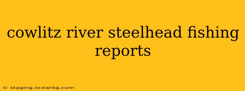 cowlitz river steelhead fishing reports