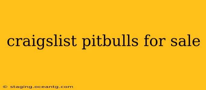 craigslist pitbulls for sale